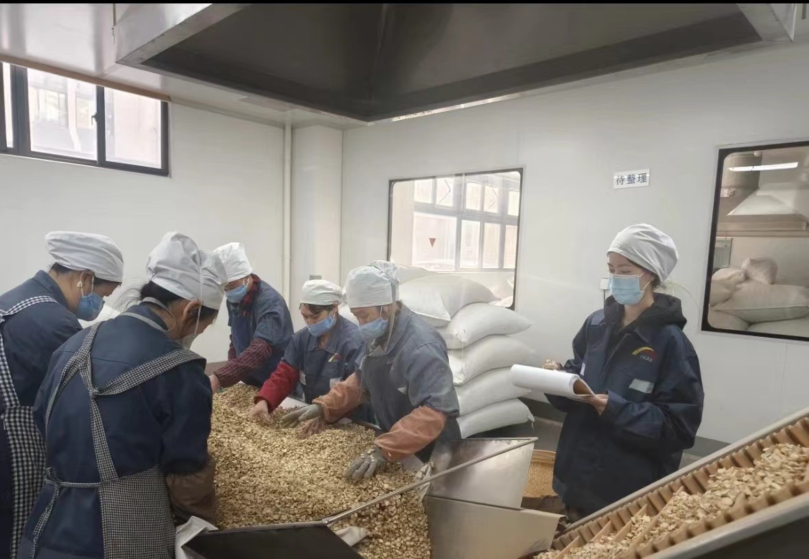 Công ty TNHH Công nghệ sinh học Biohoer Biohoer đã chính thức bắt đầu xây dựng