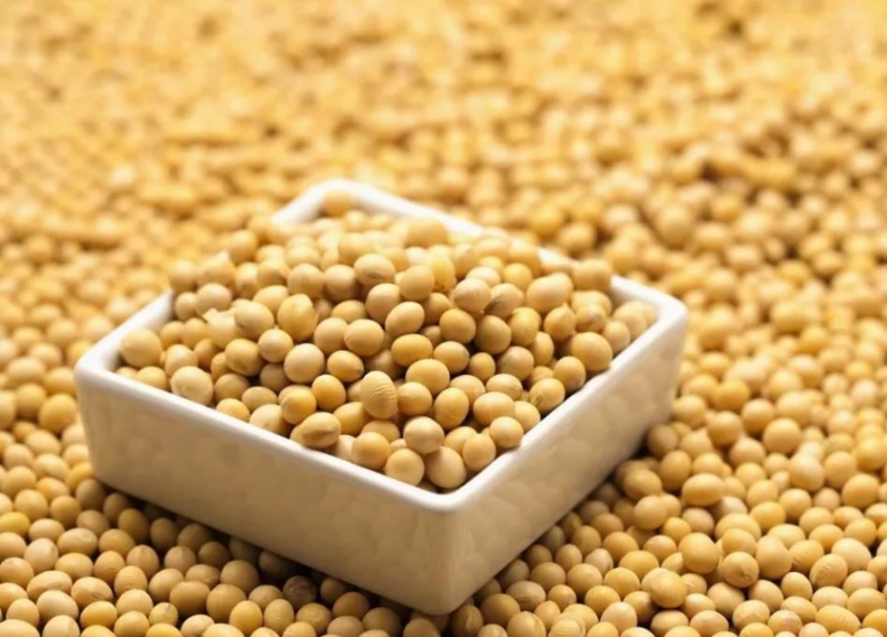 Những lợi ích của isoflavones đậu nành là gì?