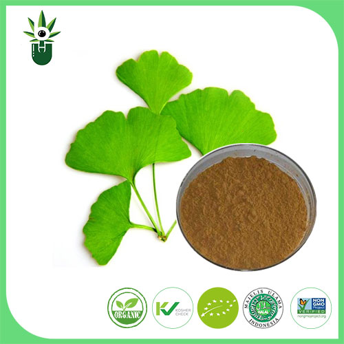 Những triệu chứng nào có thể sử dụng chiết xuất lá Ginkgo Biloba để giảm bớt?
