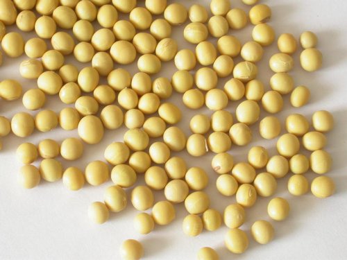 Các chức năng và tác dụng của isoflavones đậu nành là gì?
