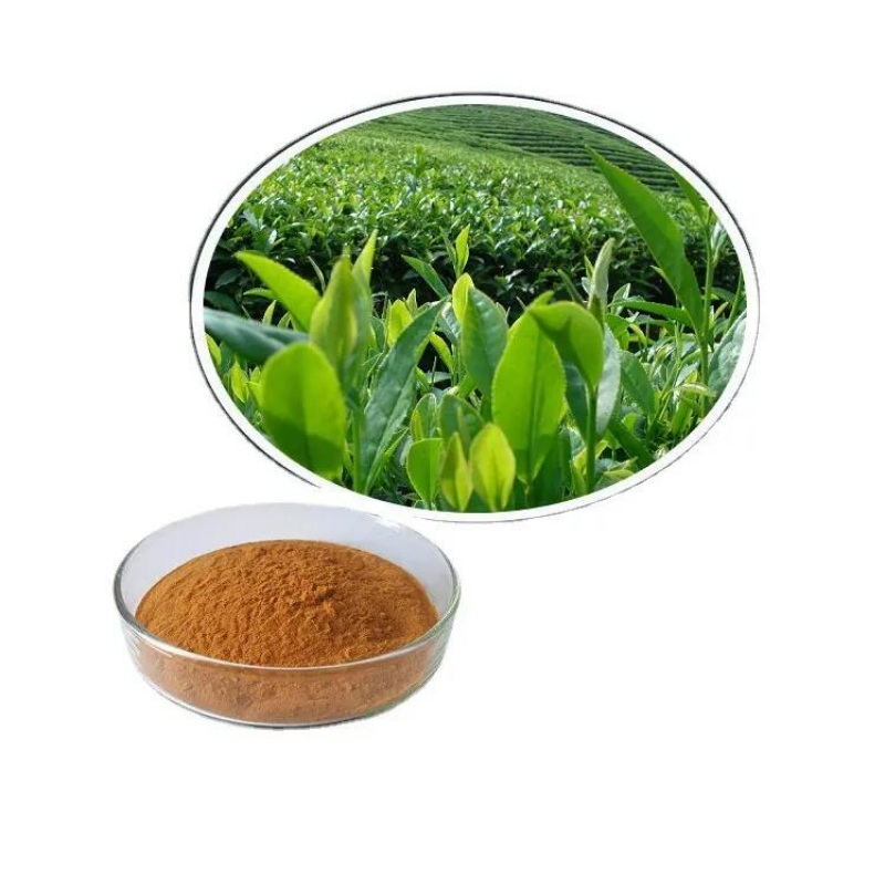 Các ứng dụng thực phẩm của chiết xuất trà xanh là gì?