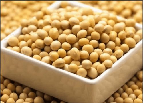 Những lợi ích của isoflavones đậu nành là gì?