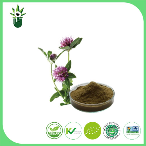 Chiết xuất Medicago sativa L