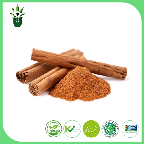 Chiết xuất Cinnamomum Cassia