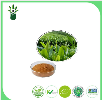 Chiết xuất trà xanh tự nhiên 98% L