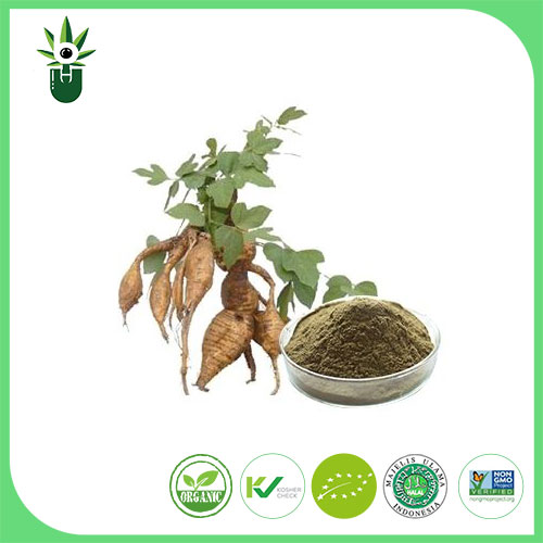 Chiết xuất Pueraria lobata