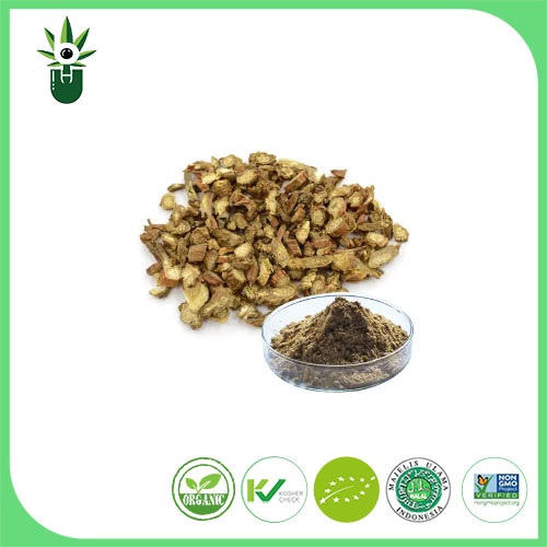 Chiết xuất Salvia Miltiorrhiza